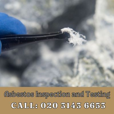 Comprehensive Asbestos Inspection and Testing Services in South Sutton